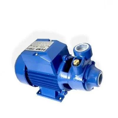 1" Portable Electric Power Clear Clean Water Pump Small Electric Powered Ce