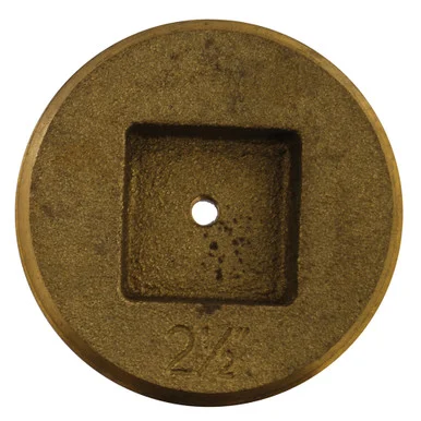 3" Extension Cover Brass Plug (1/4" tapped)