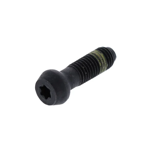 Dewalt 605256-01 Screw
