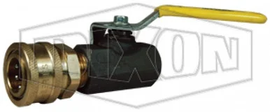 IBV50BOV - Bleed-off Valve