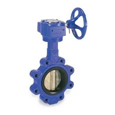 Lug Style Butterfly Valve Gear Operator