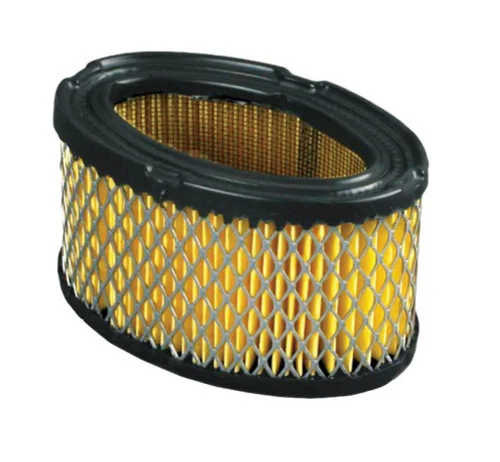 Oregon 30-100 Air Filter Tecumseh